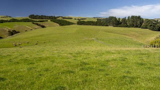 453 Dry River Road Martinborough_1