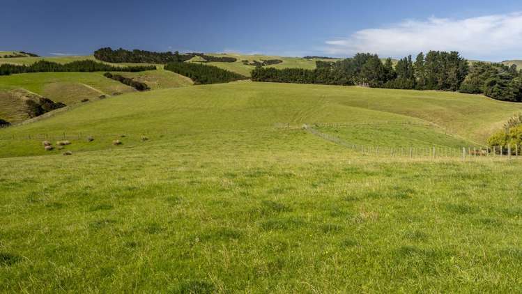 453 Dry River Road Martinborough_1