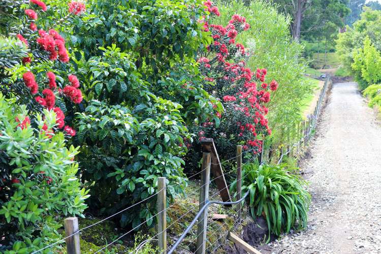 24 Riverside Road Whataupoko_1