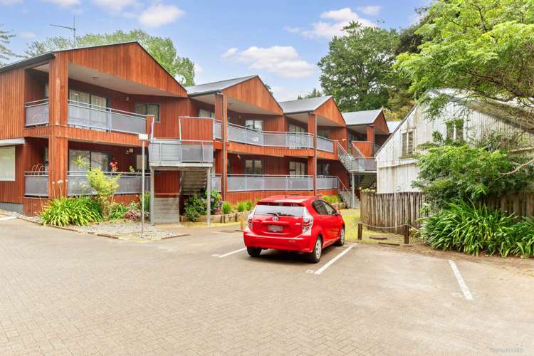 3/5 The Avenue Albany_15