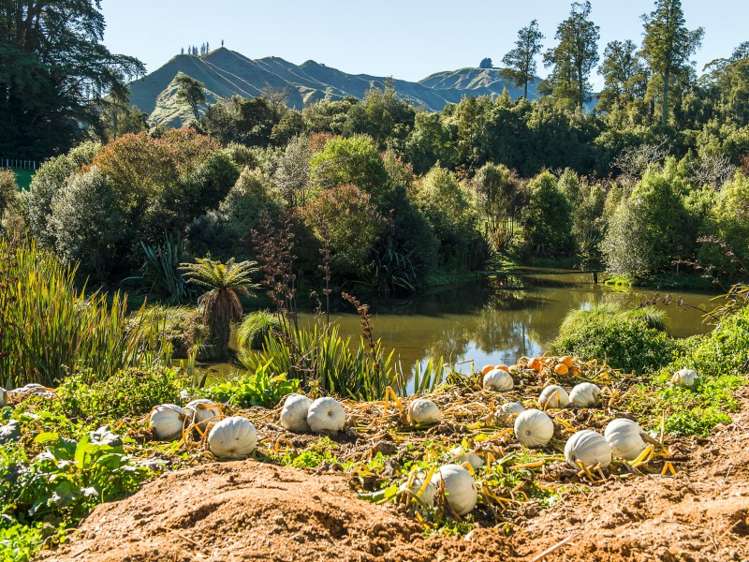 5785 Turakina Valley Road Hunterville_17