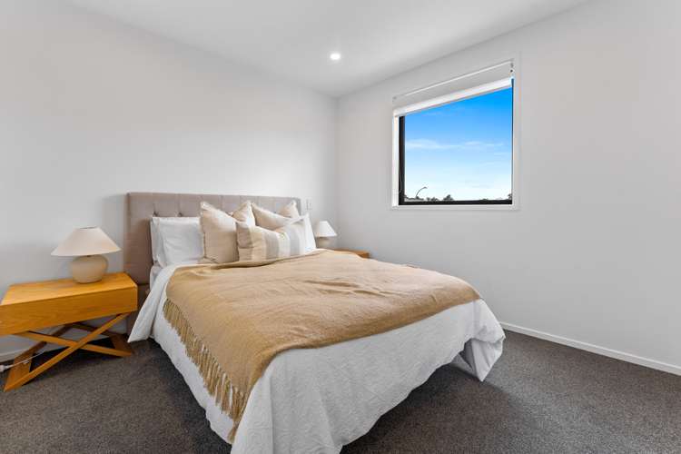 1 Ara Reti Mangere Bridge_8