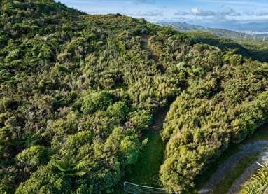 81D Kaitangata Crescent_2