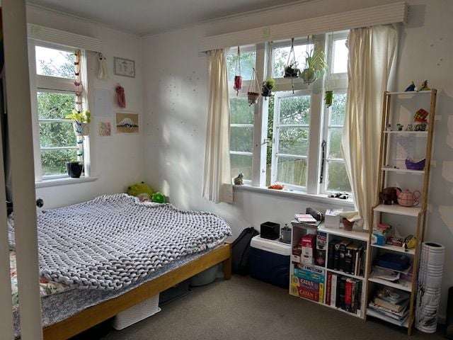 4 Wexford Road Grey Lynn_4