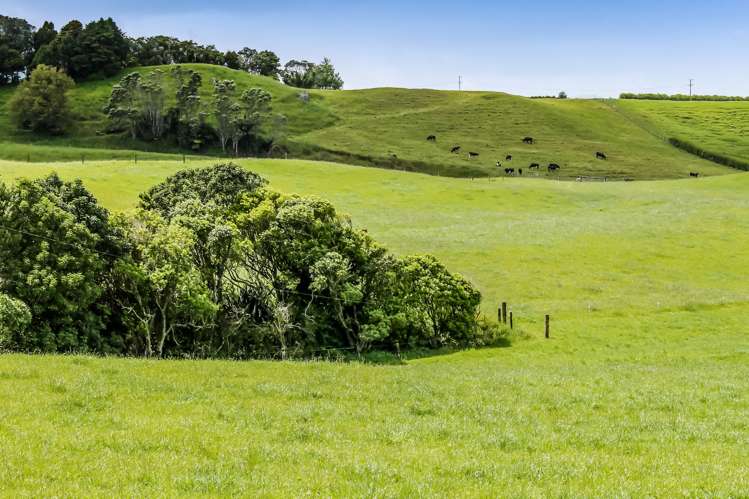 Upland Road Egmont Village_5