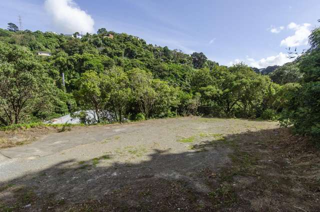 1C Holloway Road Aro Valley_3