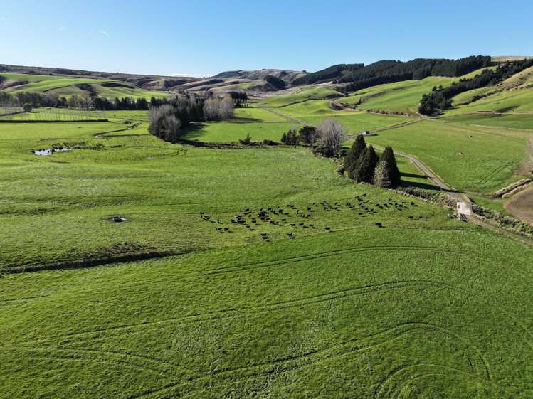 114 Bull Creek Road Glenledi_23