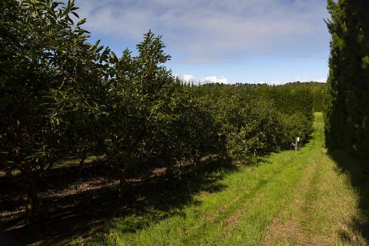 3146 Far North Road Pukenui_24