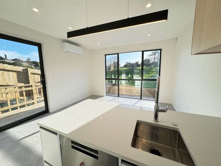 115a Tripoli Road Panmure_4