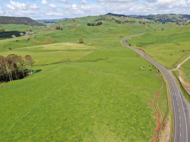 Pukerimu Road Te Kuiti_3