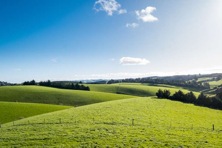 Table Hill Road Milton_18