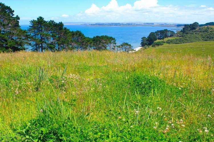 801 Burma Road Tapora_14