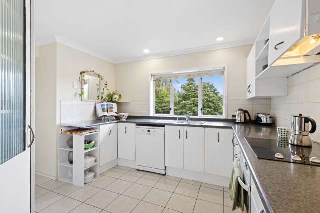 6 Alexander Court Pukekohe_4