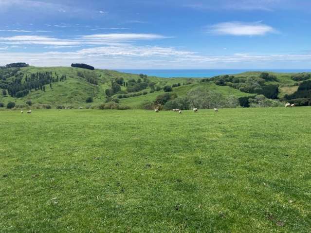 715 Te Apiti Road Waimarama_1