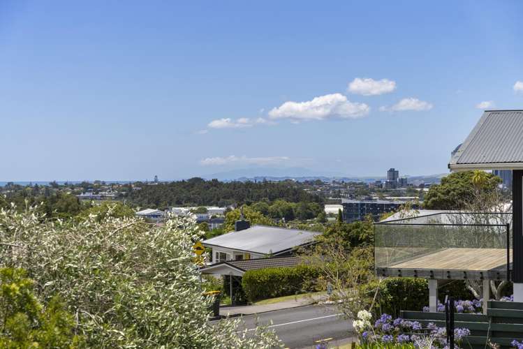 10 Alton Avenue Hillcrest_5