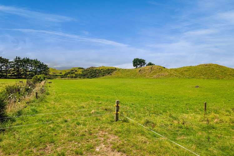 955 Opua Road Opunake_40