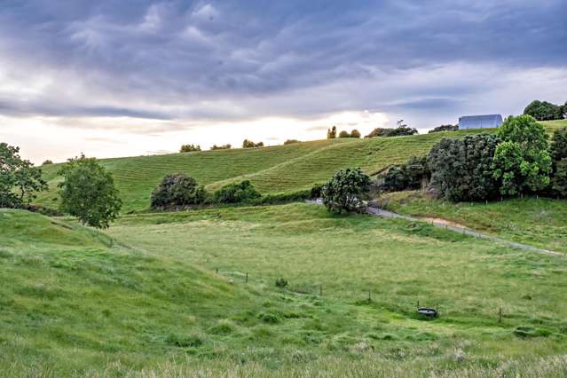 70B and C Withy Road Manawahe_4