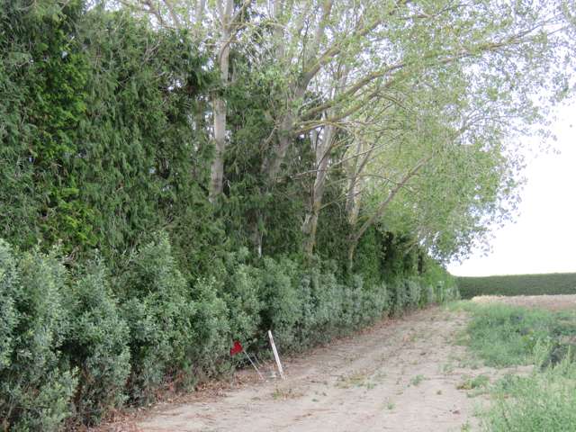 267 Cochranes Road Ashburton_4