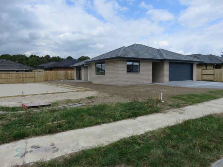 50 Tupelo Street Pukete_10