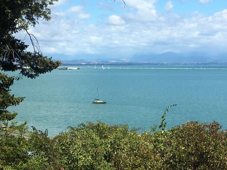 444 Atawhai Drive Atawhai_0