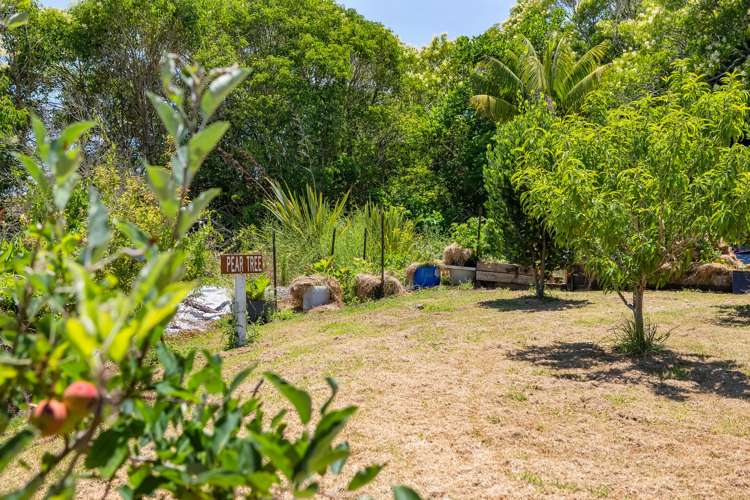 5487 state highway 10 Kaingaroa_27