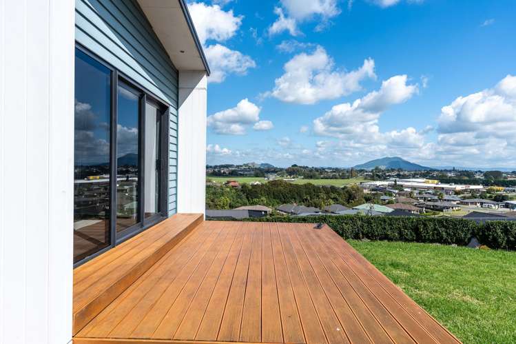 325 Picquet Hill Road Te Awamutu_20