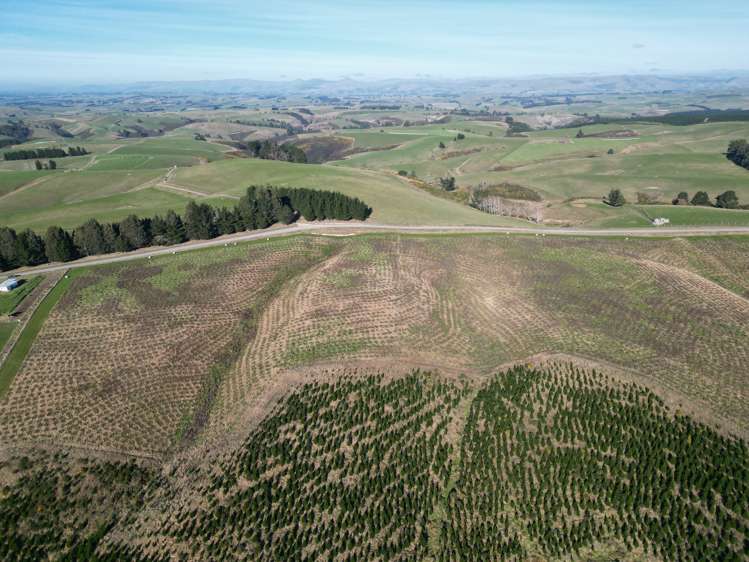 Lot 2/339 Rankleburn Road Rankleburn_5