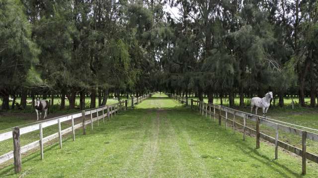 214-222 Bruce Road Levin_1