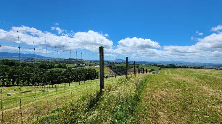 481 Honikiwi Road Otorohanga_15