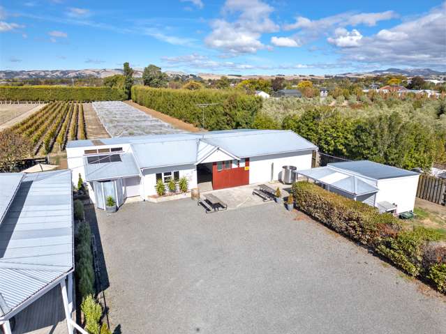 50 Princess Street Martinborough_2