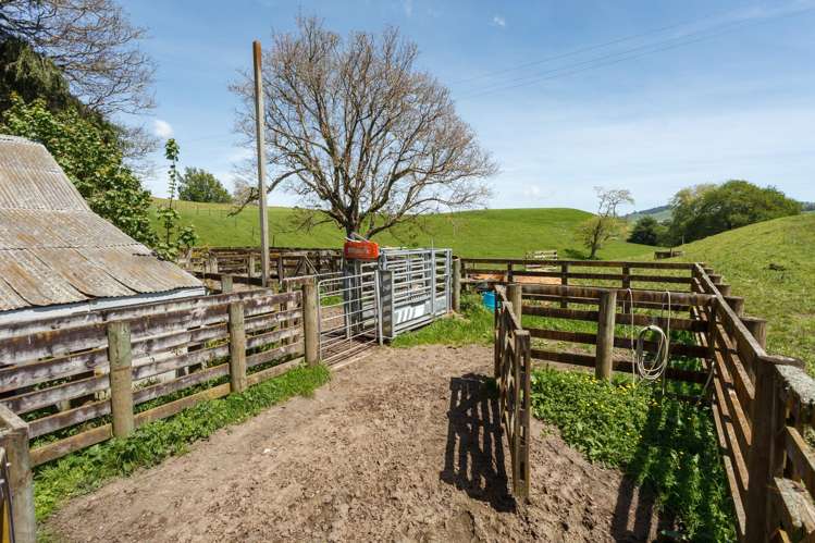 835 Buckland Road Karapiro_8