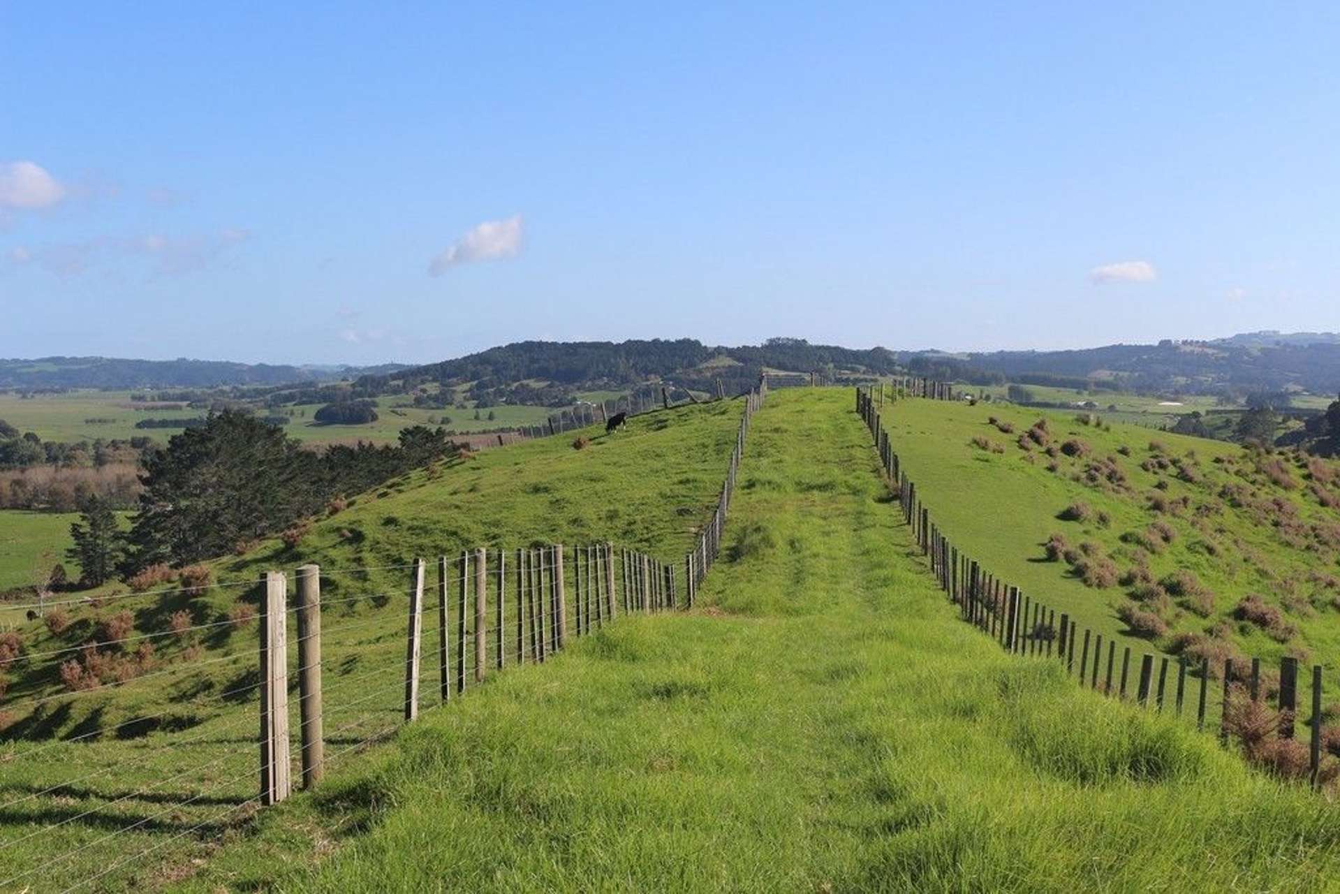 Marua Road Hikurangi_0