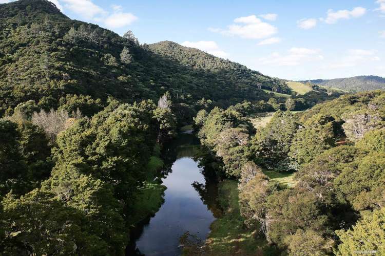632 Sawyer Road Mangonui_19