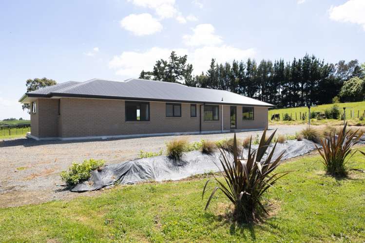 31A Pearce Street Halcombe_13