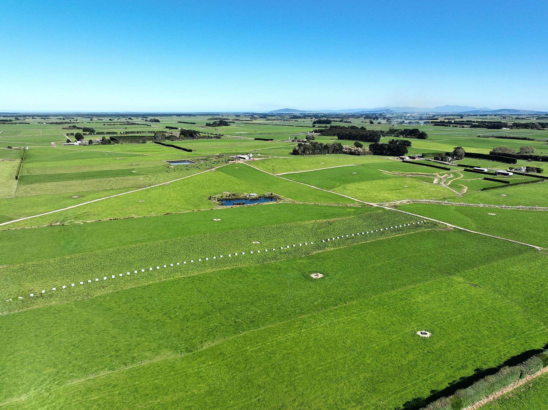 12 Shand Road, Farm 1 Rimu_0