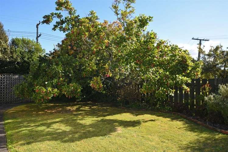 25 Jellicoe Street Greytown_14