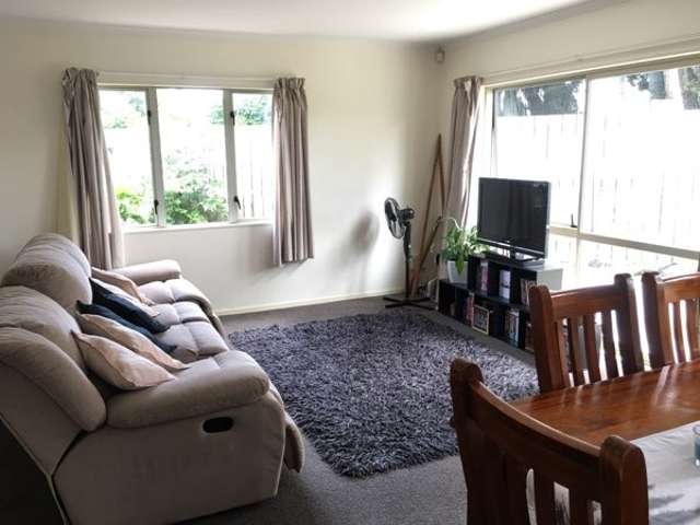 183a Massey Street Frankton_1