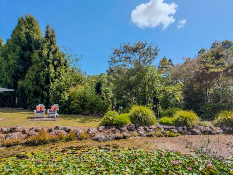 41A Orchard Road Kerikeri_4