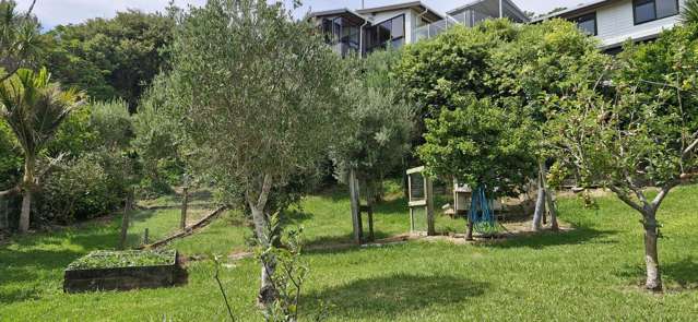 84 Brick Bay Drive Sandspit_4