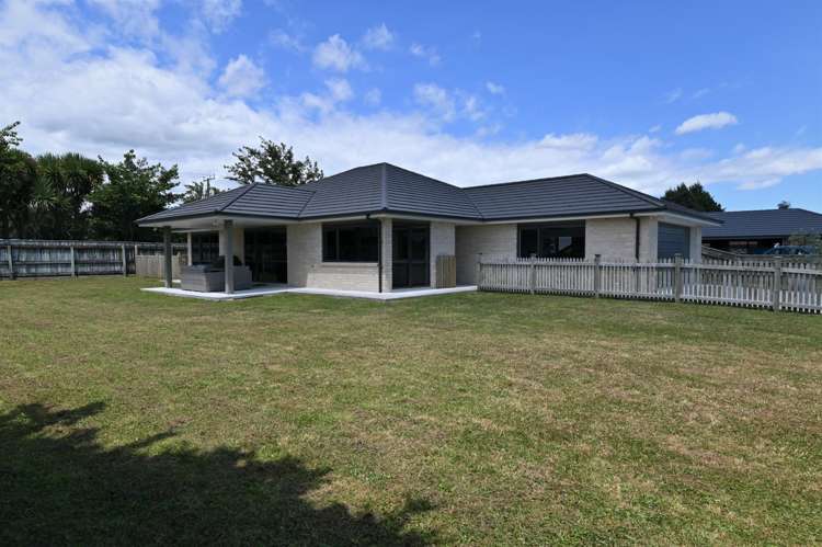 34 Weld Street Levin_14