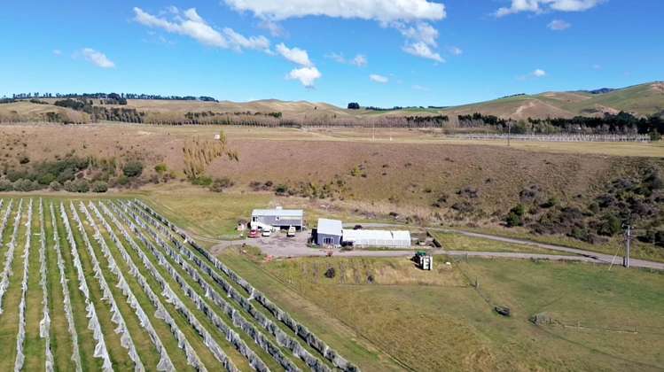 376 Ram Paddock Road Waipara_14