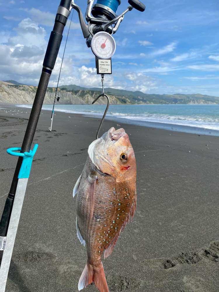 77 Whangaimoana Beach Road Lake Ferry_15