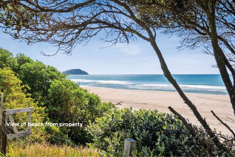 57 and 59 Wairere Road Wainui Beach Gisborne District Houses for