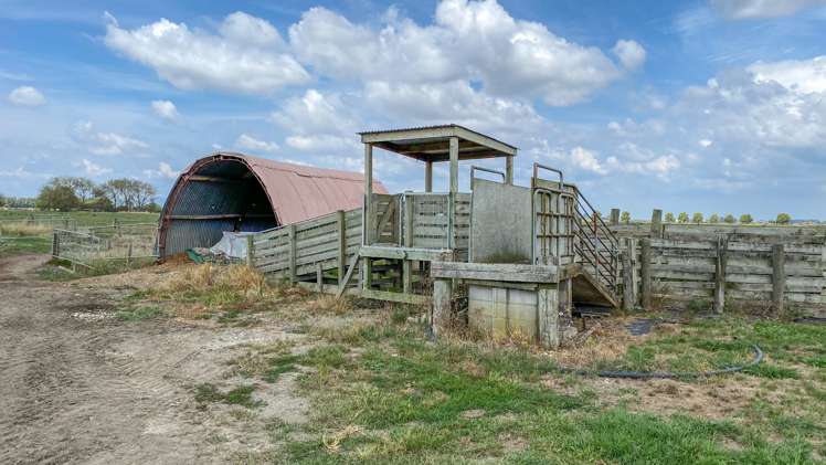 982 State Highway 25 Waitakaruru_7