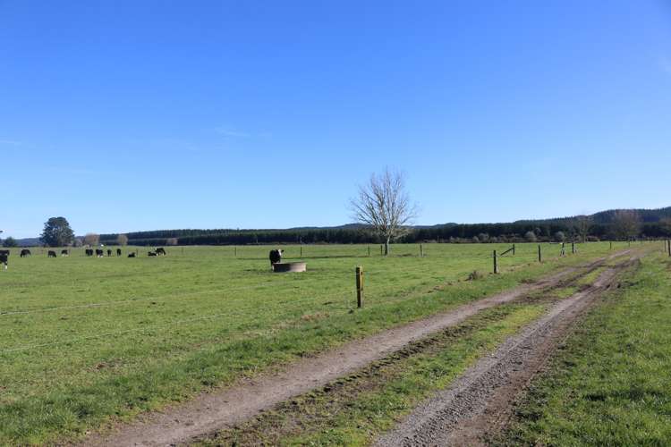 449 Kopuriki Road Murupara Surrounds_7