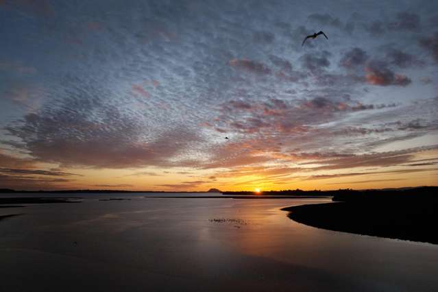 46 Prestidge Road Aongatete_1