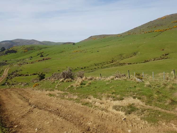 173 Glenfalloch Road Catlins Surrounds_6