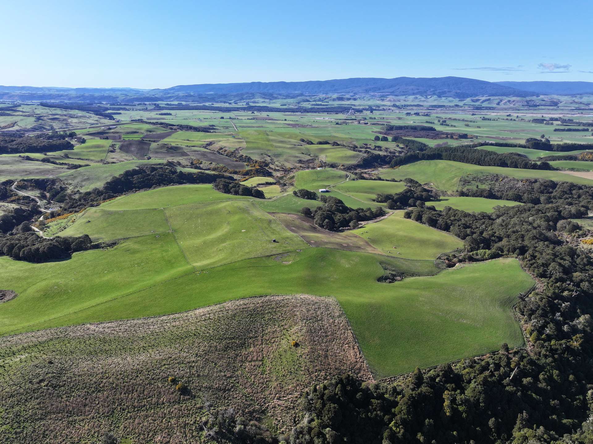 725 Grove Burn Road Tuatapere_0