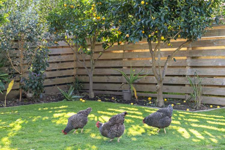 16 Ranginui Road Welcome Bay_16