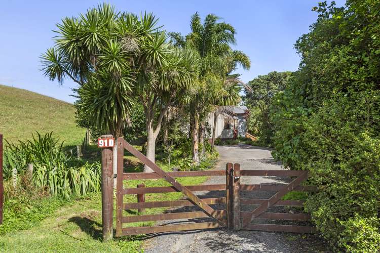 91d Greenslade Road Raglan_38